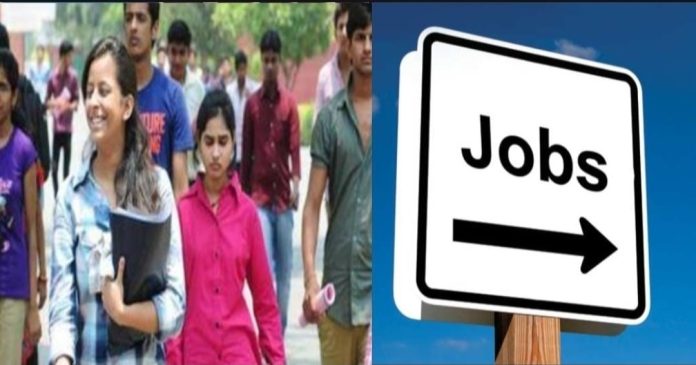 Good news for the youth of Uttarakhand, Education Department has recruited 955 posts